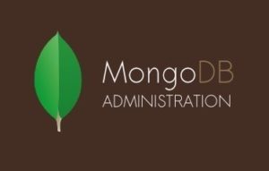 MongoDB Admin Training in Bangalore