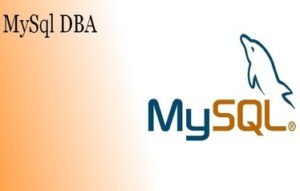 MySQL DBA Training in Bangalore