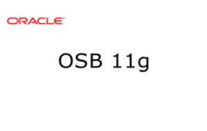 OSB 11g Training in Bangalore