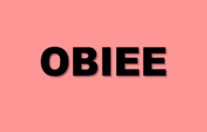 OBIEE Training in Bangalore