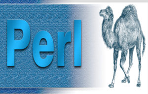 Perl Training in Bangalore